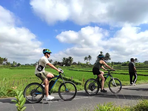 Pemuteran taxi bali 3