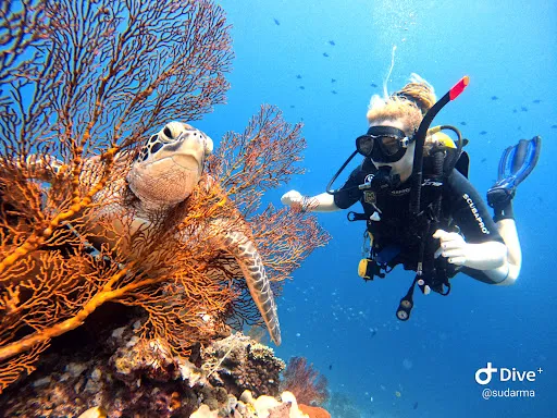 Bubble Dive Pemuteran 1