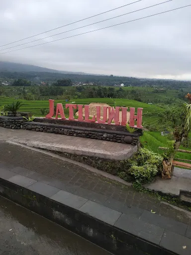 Pemuteran Taxi Service 2