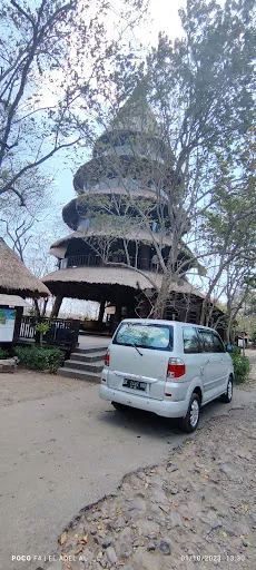 Pemuteran Taxi Service 4
