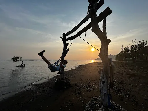 That Pemuteran Tree 3