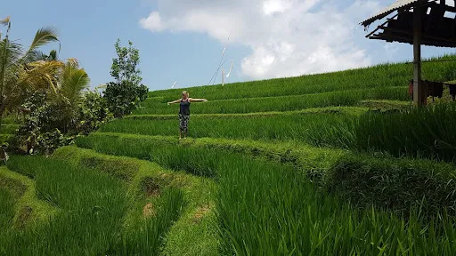 Pemuteran Bali Driver 4