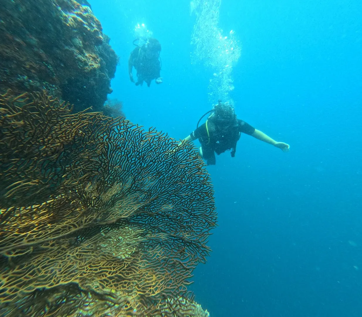 Pemuteran Menjangan Snorkeling & Diving 2