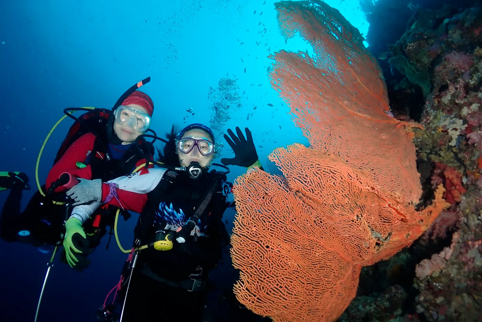 Pemuteran Menjangan Snorkeling & Diving 4