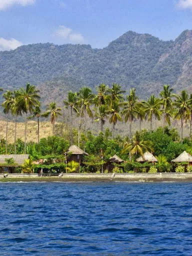 North Bali Divecenter (PT Yoniso Manasikara) 2