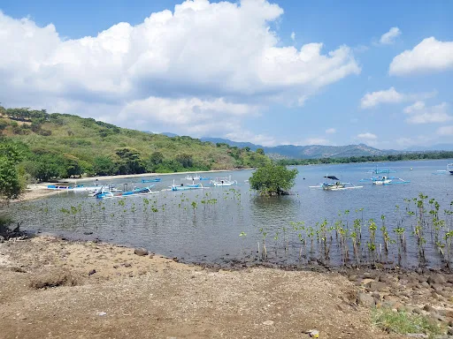 Pantai Pemuteran Bali 4