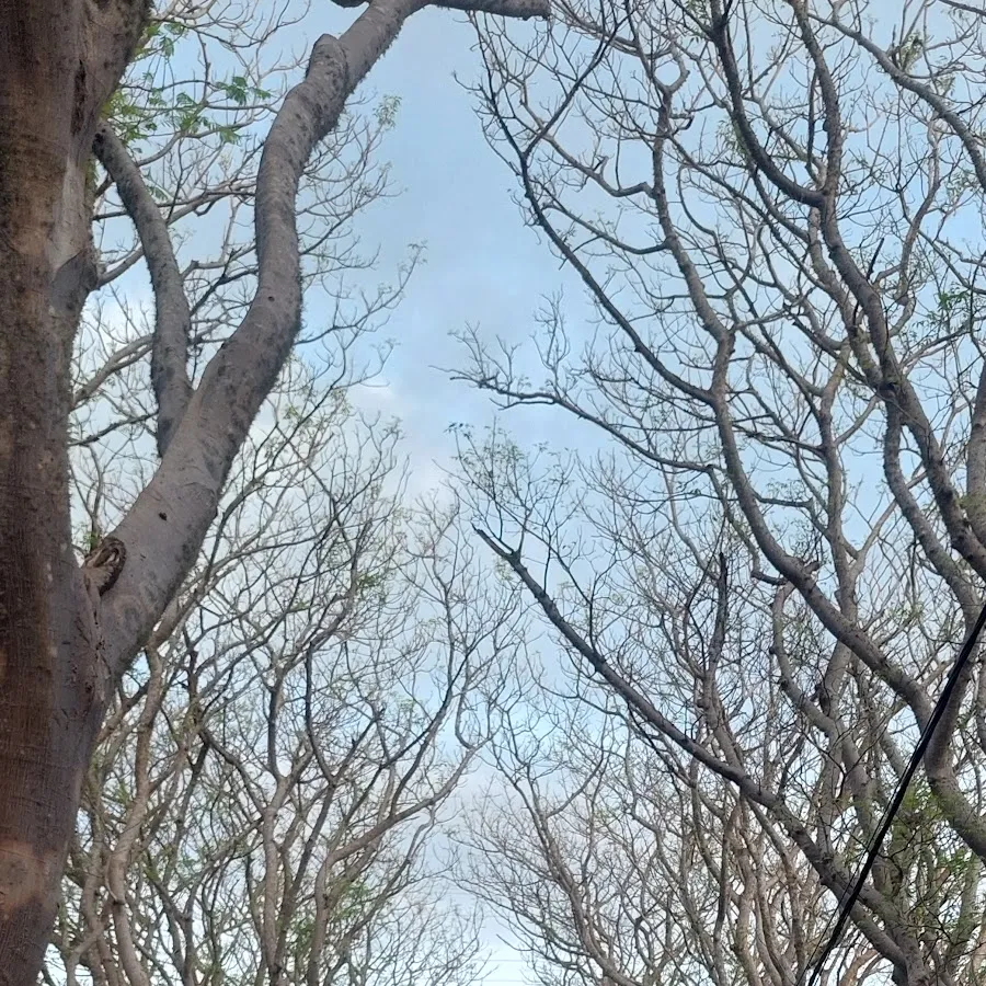 Pura Jaya Prana ᬧᬸᬭᬚᬬᬧ᭄ᬭᬵᬡ᭟​ 1