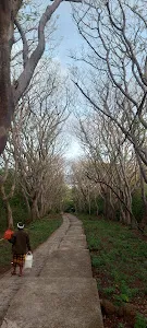 Pura Jaya Prana ᬧᬸᬭᬚᬬᬧ᭄ᬭᬵᬡ᭟​ 4