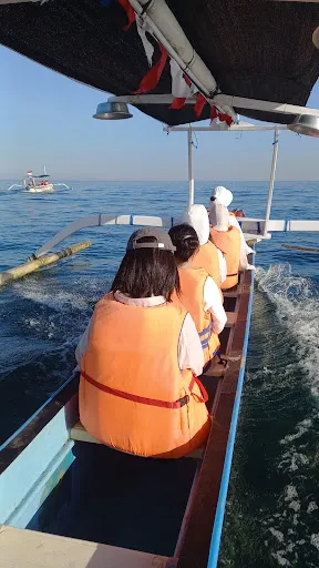 Juli North Bali Taxi & Dolphins Tour Services 4