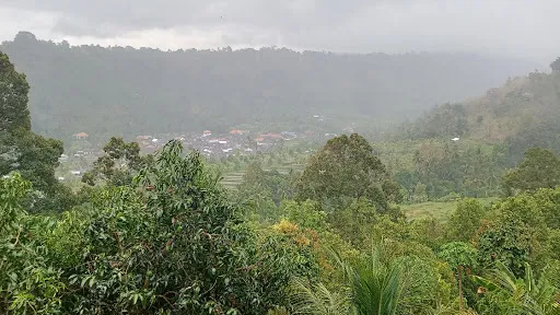 WARUNG MAYONG BALI PANORAMA 3