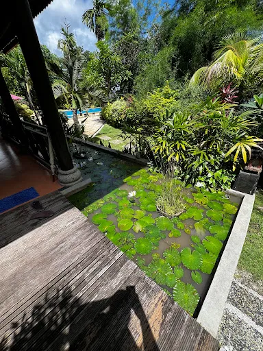 Villa Elina