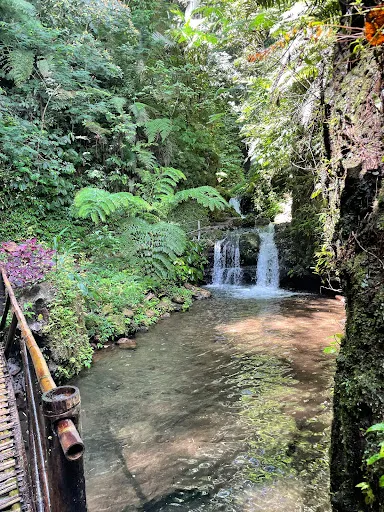 Munduk Waterfall Trekking Point 1