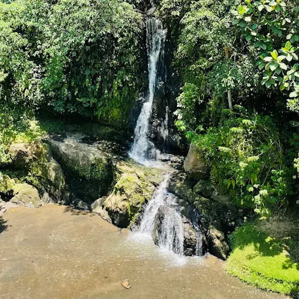Munduk Waterfall Trekking Point 4