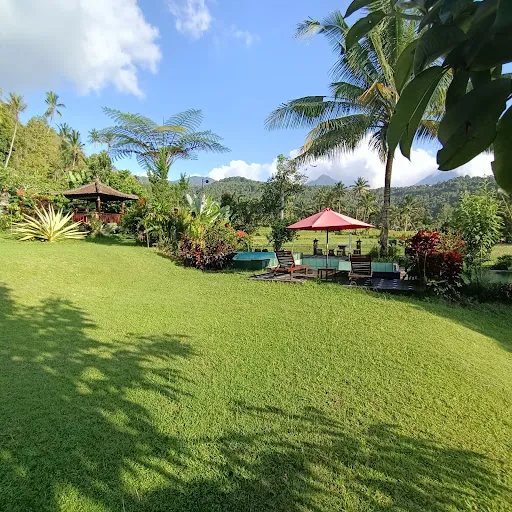 Amartya Puri Green Cottages, Garden Cottages in magic mountains 4