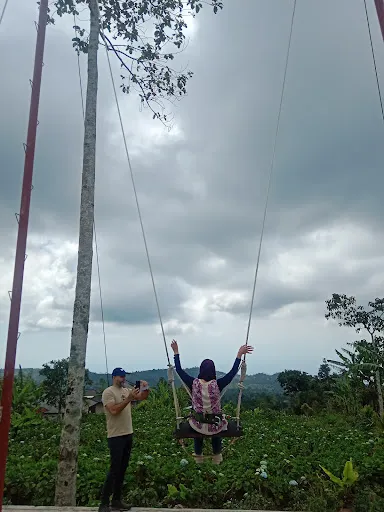 Rustybalitours 1