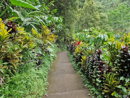 Labuhan Kebo Waterfalls 4