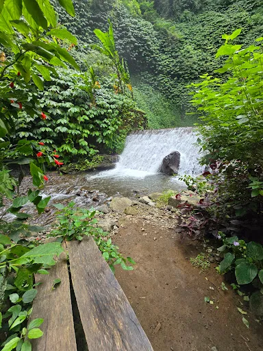 Red Coral Munduk Waterfall 2