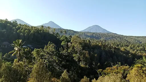 Warung Heaven Munduk 4