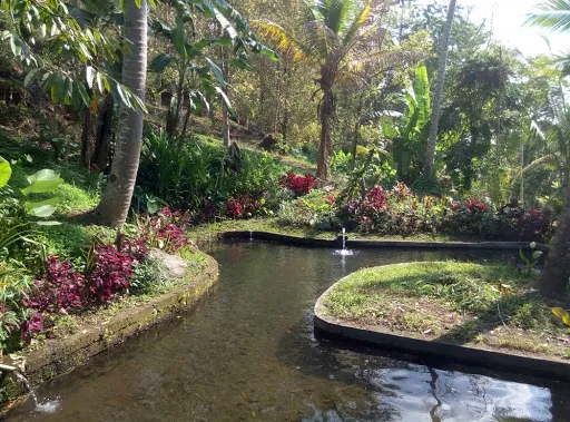 Kopi Shyup Tradisional Coffee Processing 3