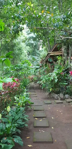 Kopi Shyup Tradisional Coffee Processing 4