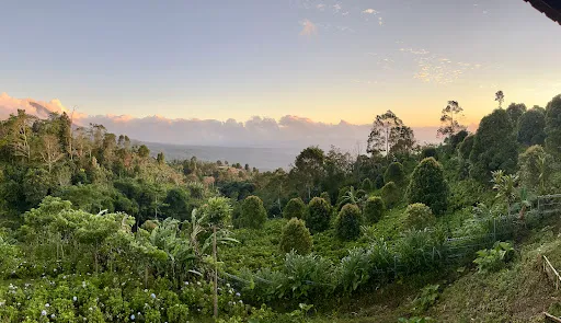 Camaradvipa Retreat Munduk 2