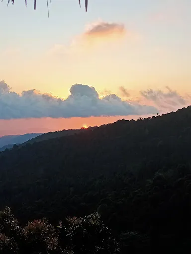 THE MELANTING Food Drink & View 3