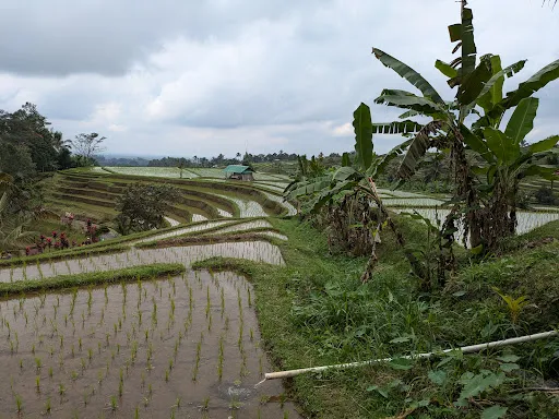 Bagus Transport & Tour MUNDUK 3