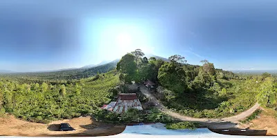 Pura Malen 3