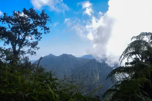 Pucak Kedaton Temple 3