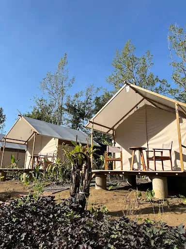 Green Lava Glamping Bedugul 2