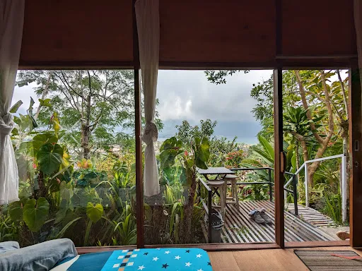 Jungle adventure cabin camping 2