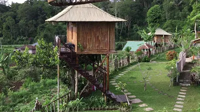 Bali Tree House Pelangi 2