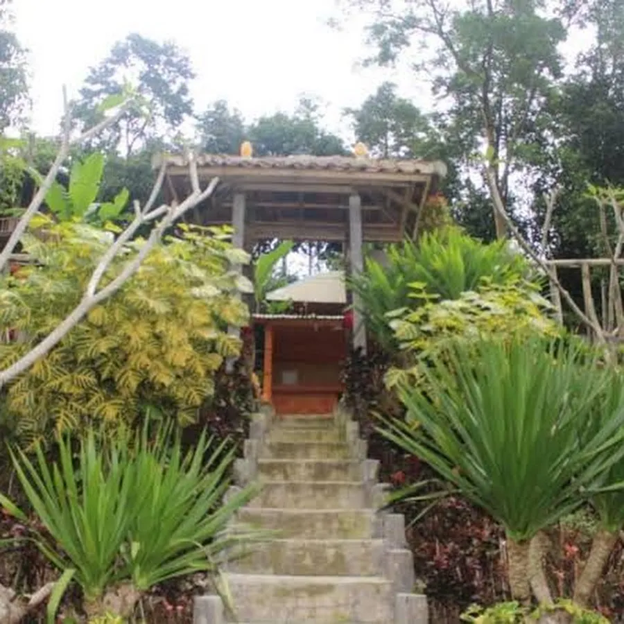 Bali Tree House Pelangi 4