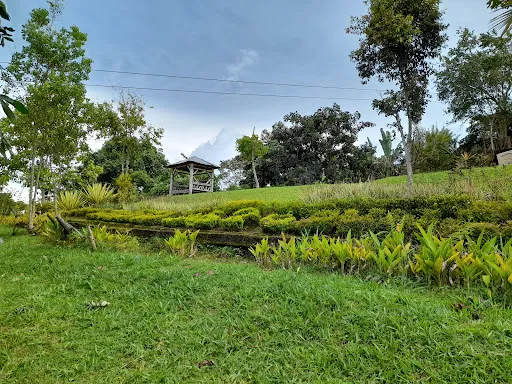 Agro Puncak Bedugul 4