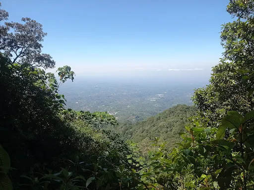 Mount Catur Trail Start 2