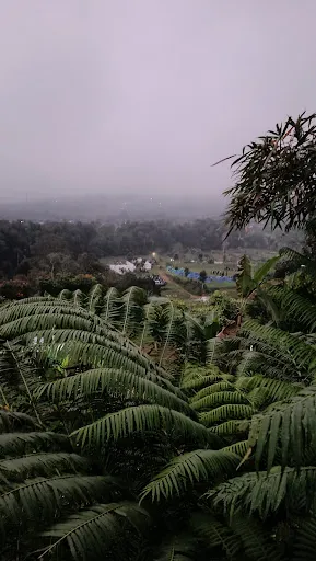 Bali Outbound & Farmstay (BOF) 3