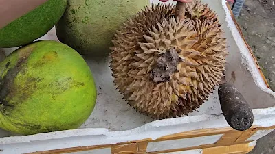 Bakso Eso jangkrik 3