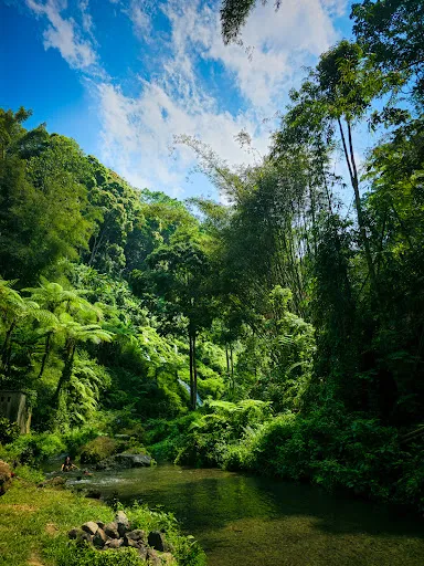 Pelisan waterfall 2