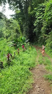 Langgahan Waterfalls 3