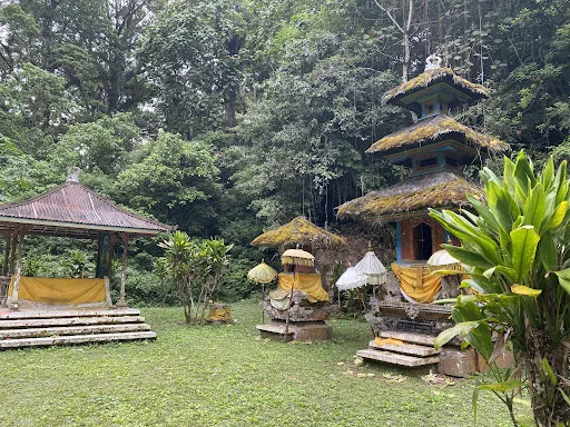 Jungle Amerta Jati Trekking point 4