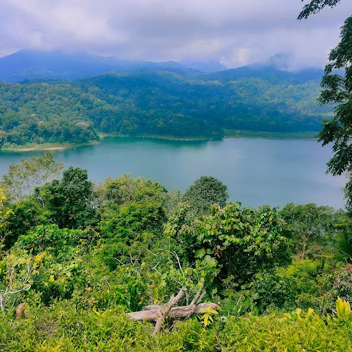 Wisata Monyet 2