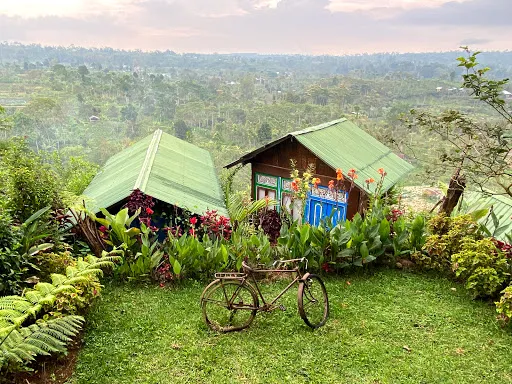 Waterfall Treehouse cabins 4