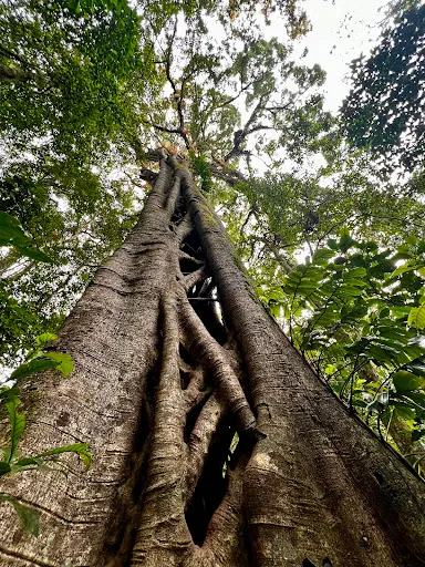 Bali Twin Lake Trekking Point 1