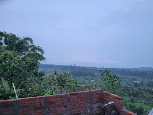 Tang, Ting, Tung Home Stay 4