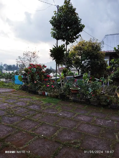 Dajan Buyan Homestay 1