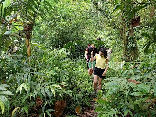 Wanagiri Bali Adventure 3