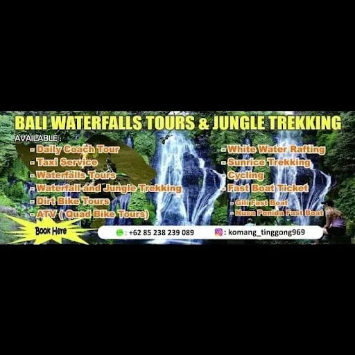 Bali Waterfalls tours & Jungle Trekking 1