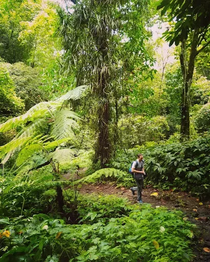 Bali Waterfalls tours & Jungle Trekking 2