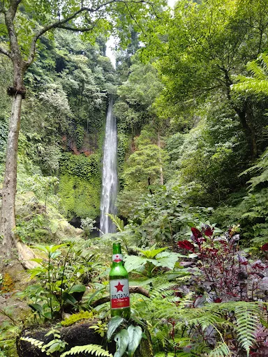 Bali Waterfalls tours & Jungle Trekking 3