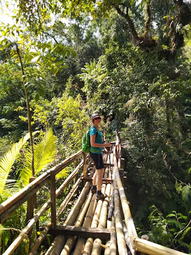 Dedari Waterfall 1